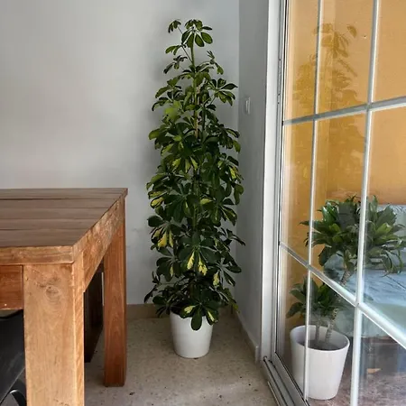 La Biznaga Apartment Malaga